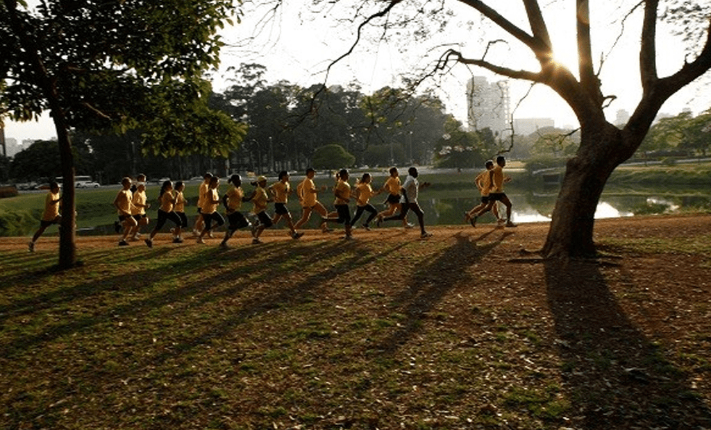 Descrição. Parque do Ibirapuera, em São Paulo, com árvores verdes, um lago ao fundo e pessoas a correr pelo caminho principal.